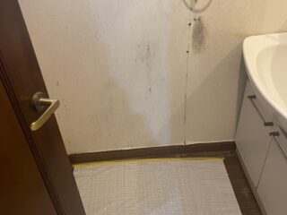 洗面脱衣室のクロス張替え中の様子です