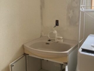 収納力や清掃性に課題があった洗面台もリフォーム対象に