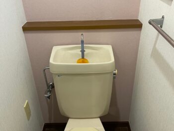 トイレもクロス張替えで清潔感アップ